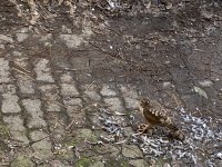 2C081B23-5827-42EB-9A4D-059E232A7AD7.jpeg