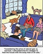 Cats.JPG