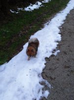 IMG_20170119_150218.jpg