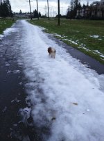 IMG_20170119_150608.jpg