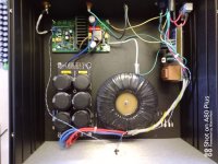 AMP 1.jpg
