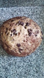 Pan Dulce 12.jpg