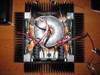 finished amp small.jpg
