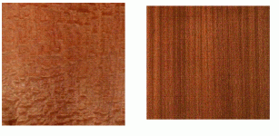 sapele.gif