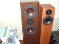 audio .low.005.jpg