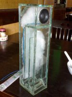 glass tml 1.jpg