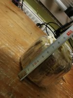 IMG_20221220_185658.jpg