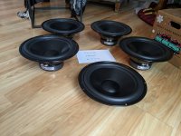 Dayton DIYaudio.jpg