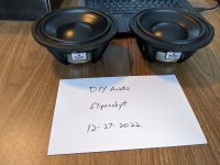 Morel DIYaudio.jpg