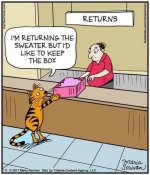 Cat - Box.JPG