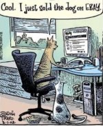 Cat on Ebay.JPG