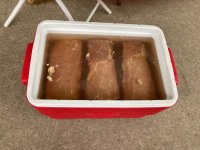 IMG_0591.jpeg