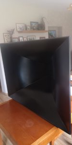 horn (Medium).jpg