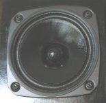 close up of cone.jpg