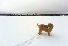 20230122_112921.jpg