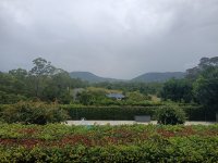 IMG20230124064852.jpg