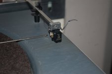 DSC_0082.JPG