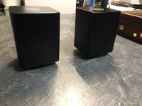 IMG_3252.jpeg