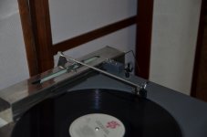 DSC_1265.JPG