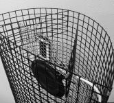 wireframe_and_drivers.png
