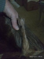 IMG_20230201_194139.jpg