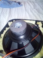IMG_20230131_150419.jpg