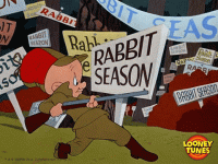 Wabbit Season.gif