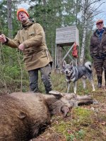 moose2.jpg