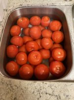 IMG_0685.jpeg
