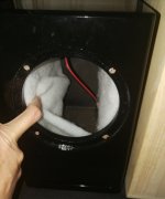 IMG_20230208_103330.jpg