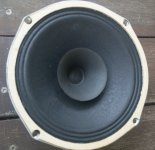 msp1s.jpg