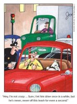 Driving.JPG