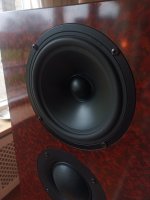 IMG_20230222_171902.jpg