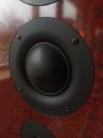 IMG_20230222_171911.jpg