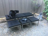 IMG_1986.jpeg