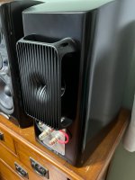 IMG_8390.jpg