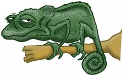 camaleao.jpg