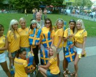 swedishfans-787783.jpg