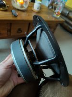 IMG20230312164623.jpg