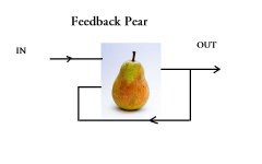 Feedback Pear B.JPG
