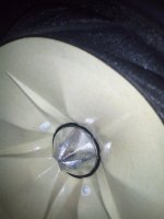 IMG_20210527_175258.jpg