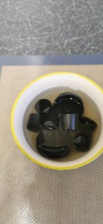 IMG_20230317_080103.jpg