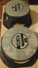 IMG_20230317_194838.jpg