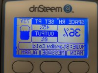 driSteem.JPG