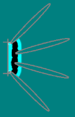 Screenshot from 2022-12-03 16-54-15.png