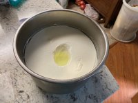IMG_0817.jpeg