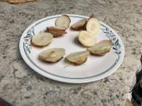 IMG_0821.jpeg
