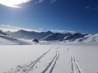 IMG-20230407-WA0001.jpg