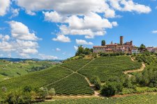 GettyImages_Langhe_Monferrato_Roero_VisitPiemonte_BASSA.jpg