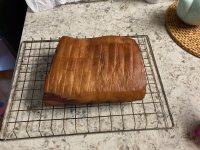 IMG_0872.jpeg